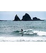 Lib Tech Surf Pickup Stick 6'6