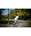 Taiga Skateboard / longboard
