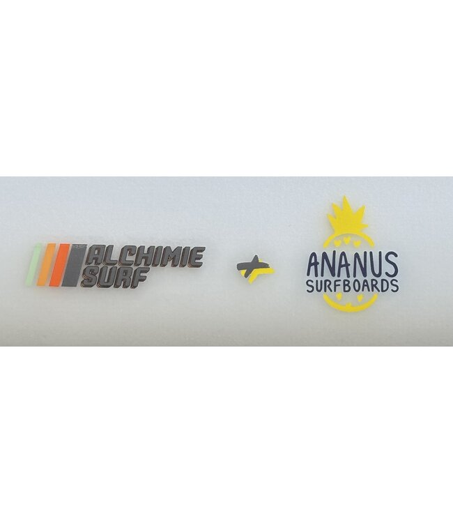 Alchimie + Ananus Longboard Mobi Dick