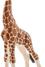 Giraffe Calf Figure by Schleich