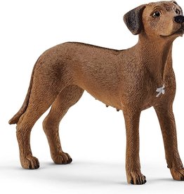 Rhodesian Ridgeback Figure by Schleich