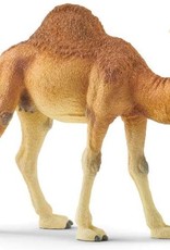 Dromedary Figure by Schleich