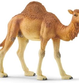 Dromedary Figure by Schleich