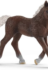 Black Forest Foal Figure by Schleich