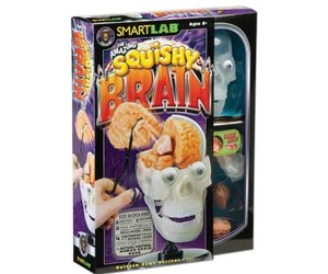squishy brain toy