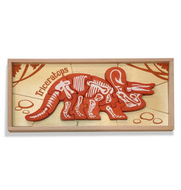 Dino Skeleton-Triceratops