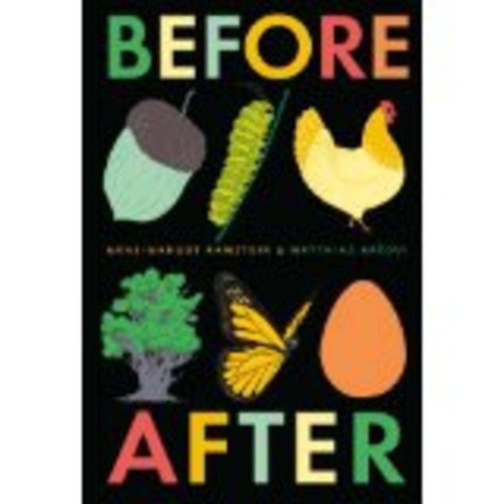 Before After Book