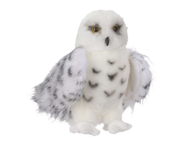 douglas wizard snowy owl