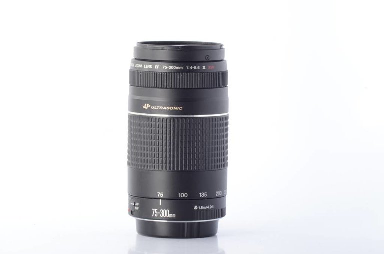 Canon Canon 75-300mm f/4-5.6 III USM