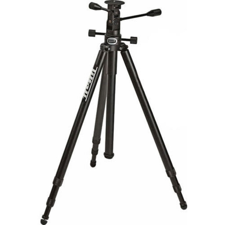 Tiltall Tiltall Junior Silver