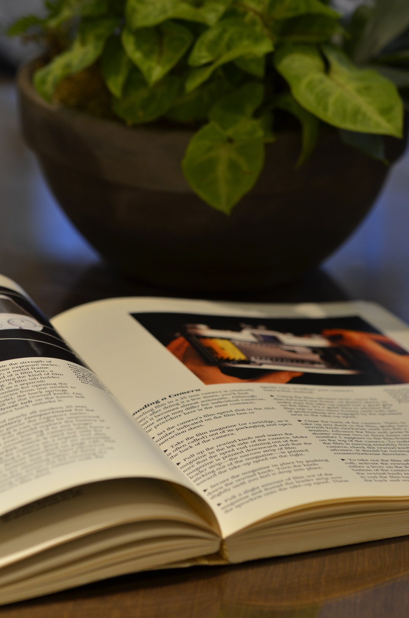The Evergreen Value of Old Photography Books