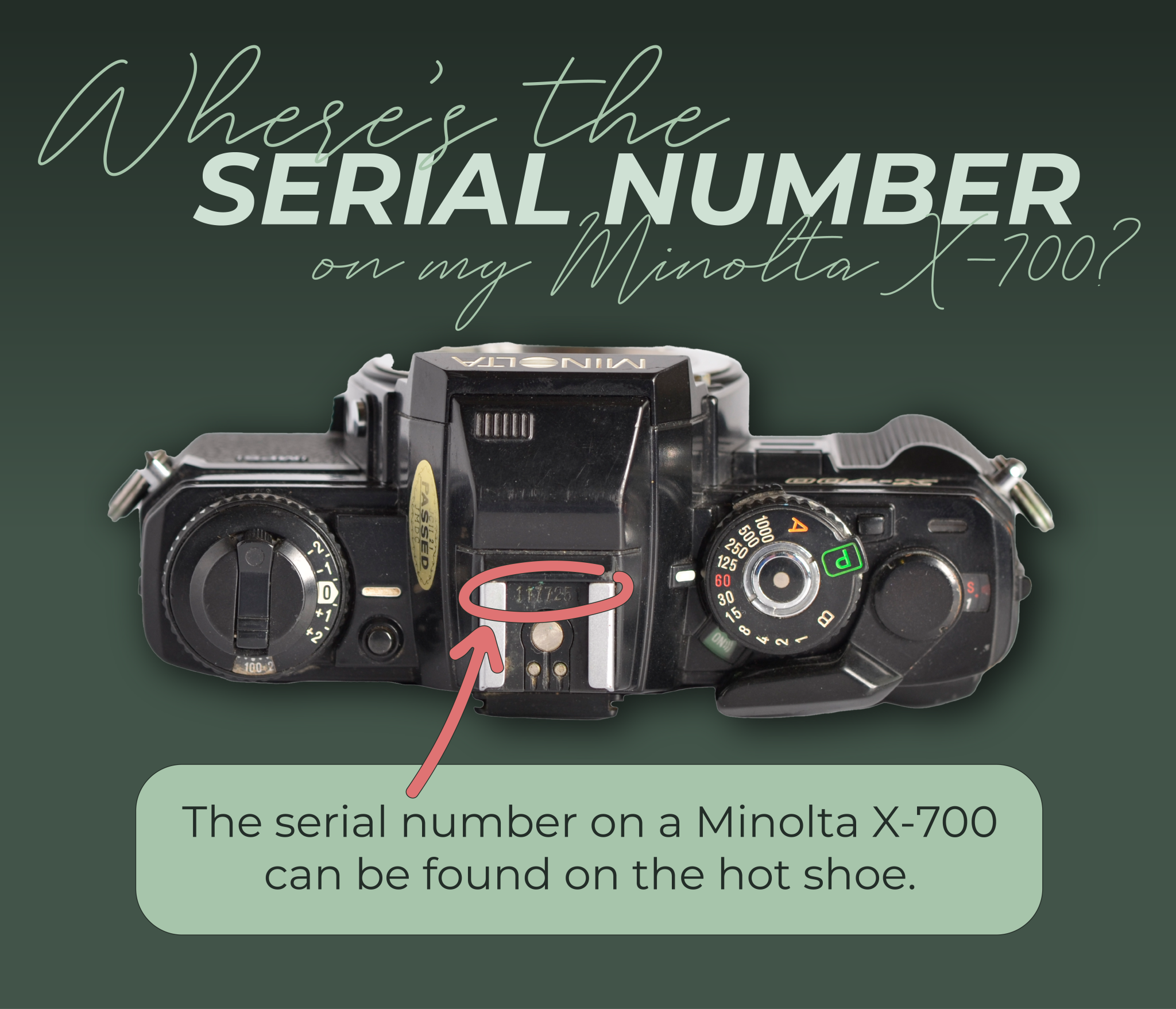 Minolta X-700 Camera Repair - LeZot Camera | Sales and Minolta X-700 Camera Repair - LeZot Camera | Sales and