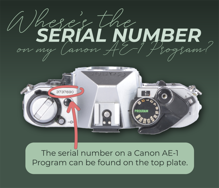 LeZot Canon AE-1 Program Camera Repair