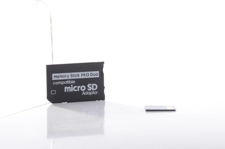 Memory Stick Pro Duo to Micro SD Adapter