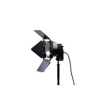 Lowel 2x Lowel DP 1k (120-220 VAC) Constant Halogen Flood Lights with Barn Doors (Pat#D210927)