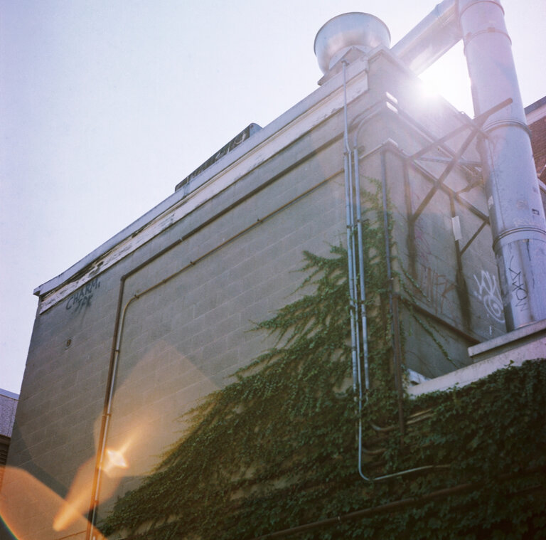 Kodak Kodak Portra 160 NC- 120/ half roll lab EXPIRED tested color film stock