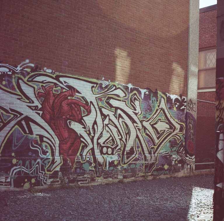 Kodak Kodak Portra 160 NC- 120/ half roll lab EXPIRED tested color film stock