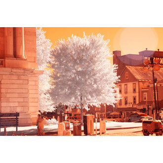 Canon Canon EOS 1D Mark III DSLR IR Converted Camera Body (in Box with Accessories)