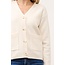 Delta Cardi