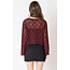Kitty Wine Knit