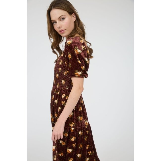 Mimi Floral Velvet Dress