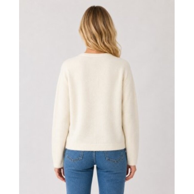 Asher Cardi