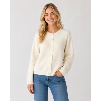 Asher Cardi