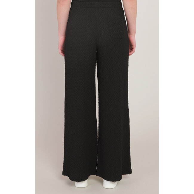 Clove Pant