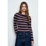 Maple Stripe Knit