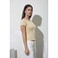 Sandstone Top