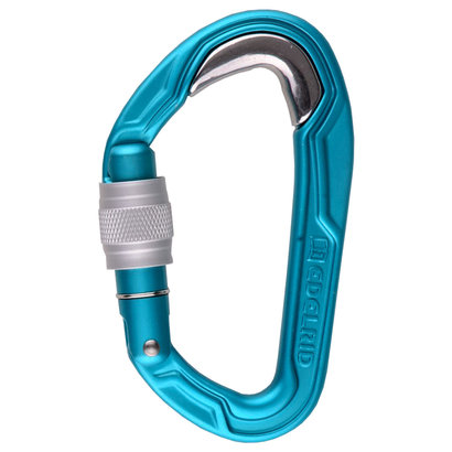 Edelrid Bulletproof Screwgate Carabiner - Icemint
