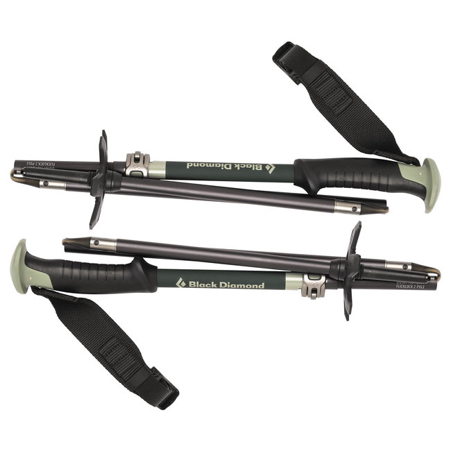 Black Diamond Compactor Ski Poles