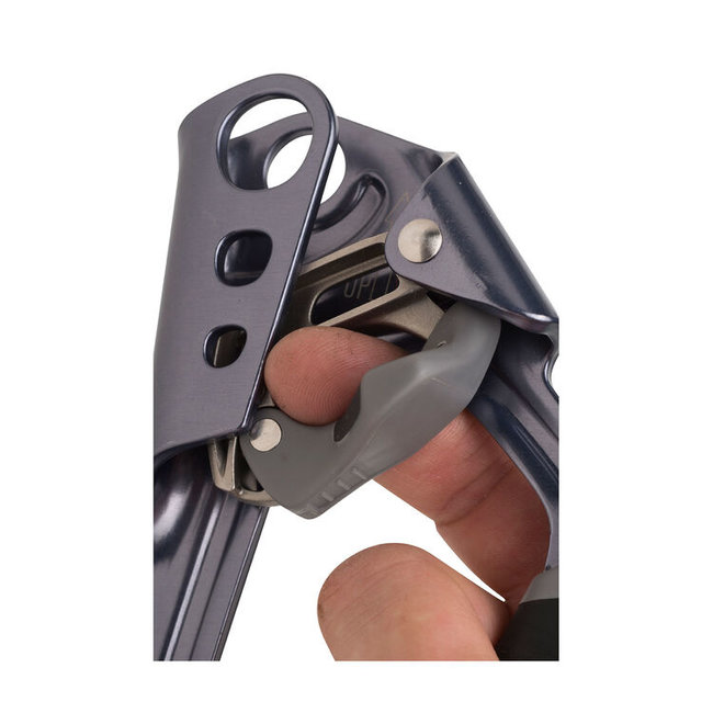 Black Diamond Index Ascender