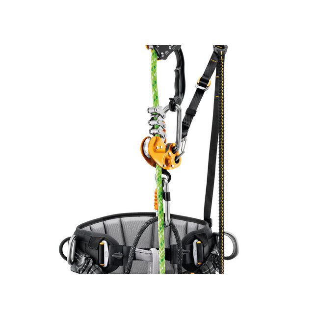 Petzl SEQUOIA SRT Harness