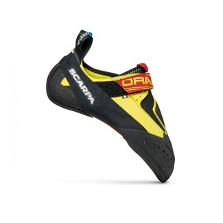 Scarpa Drago