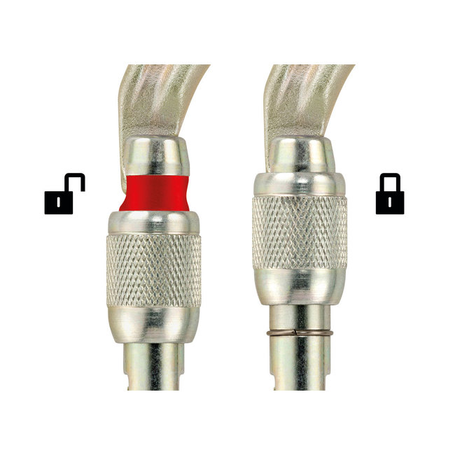 Petzl Vulcan Steel Screw-Lock Carabiner