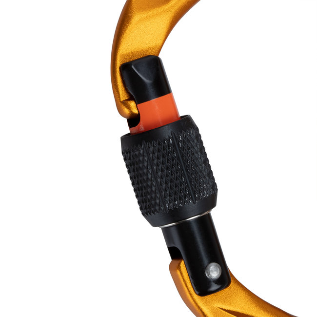 Mammut Sender Screwgate Carabiner