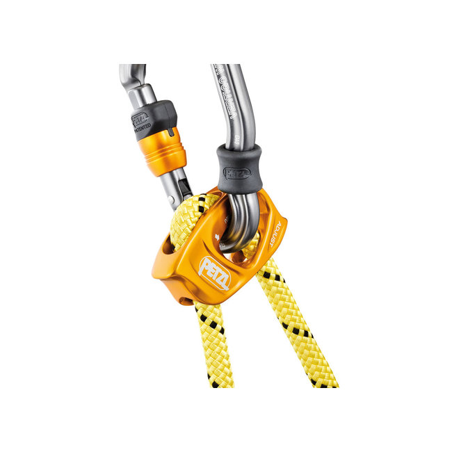 Petzl Lezard Helicopter Lanyard System