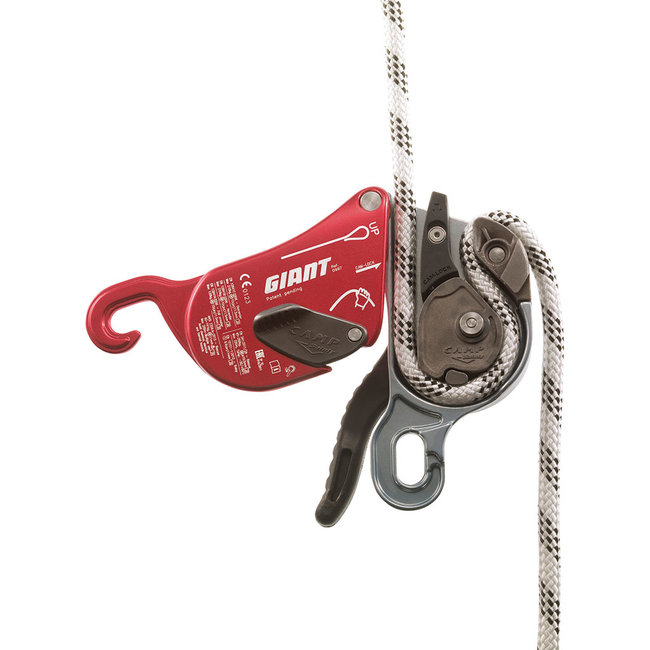 CAMP Giant Descender