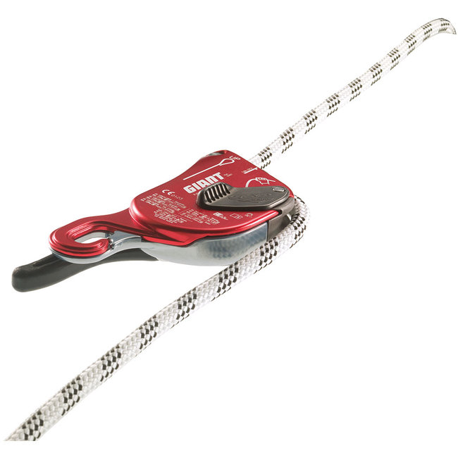 CAMP Giant Descender