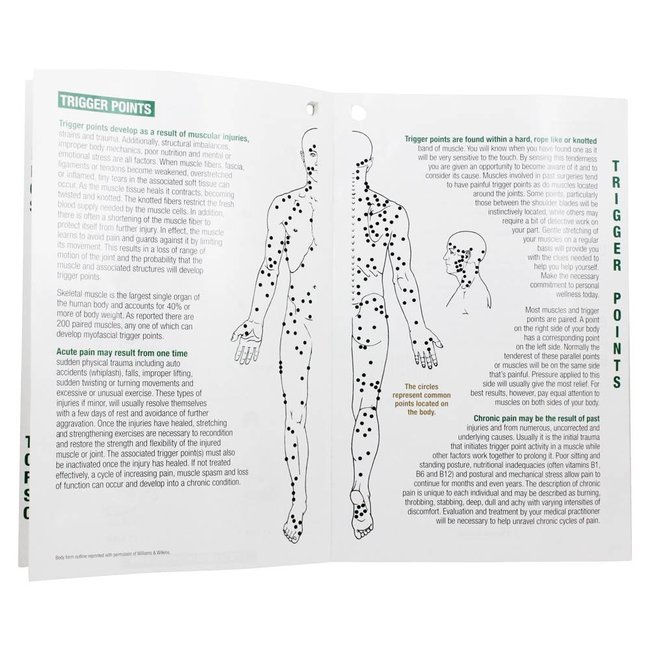 The Sweet Spot Back Massager