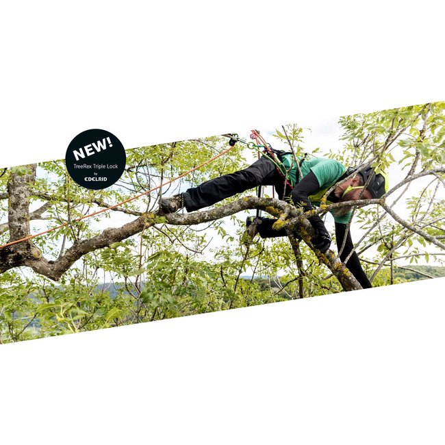 Edelrid TreeRex Arborist Triple Lock Harness
