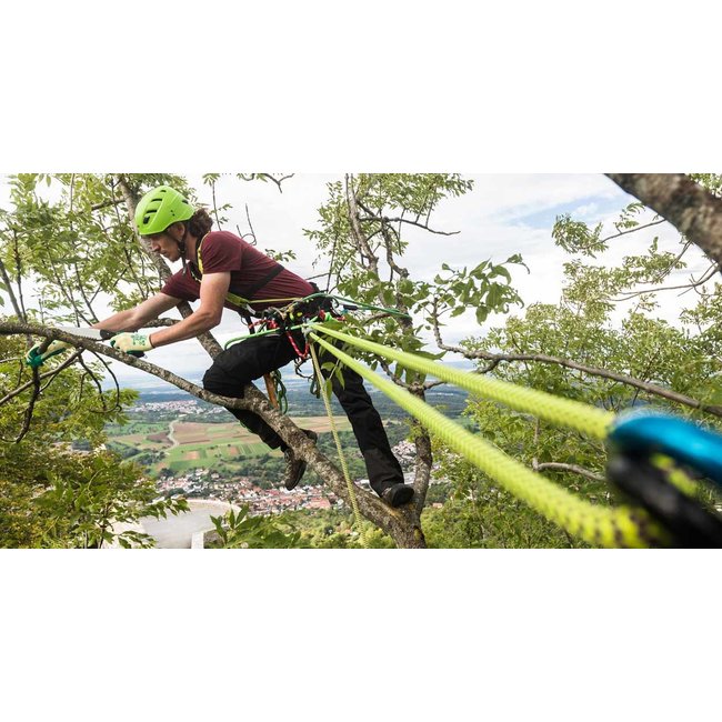 Edelrid TreeRex Arborist Triple Lock Harness