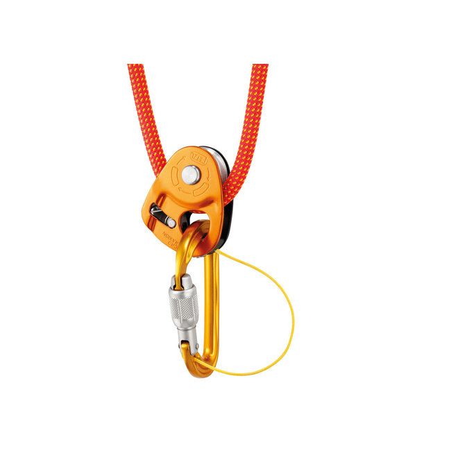 Petzl Micro Traxion