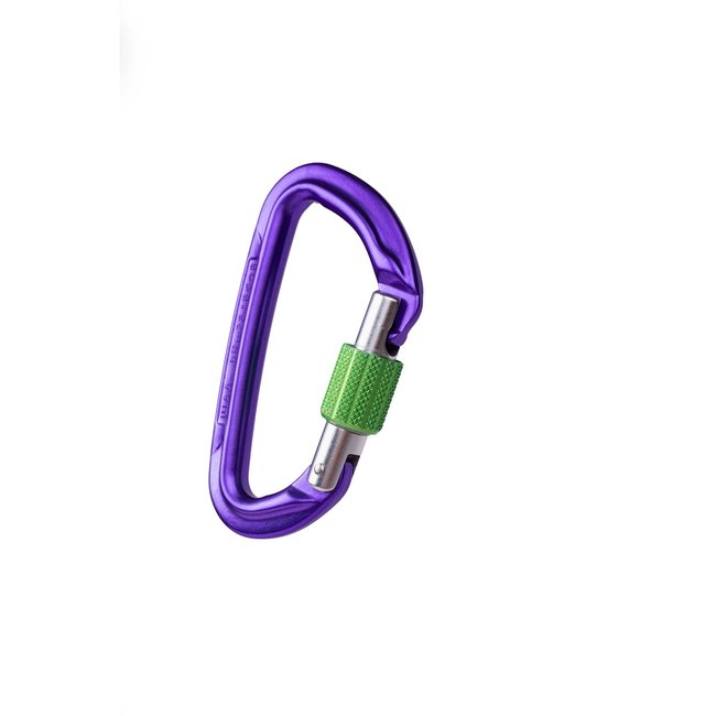 Wild Country Session Screwgate Carabiner