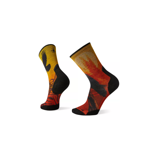 Smartwool Men's PhD Pro Endurance