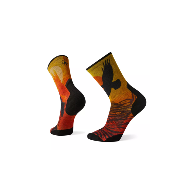 Smartwool Men's PhD Pro Endurance