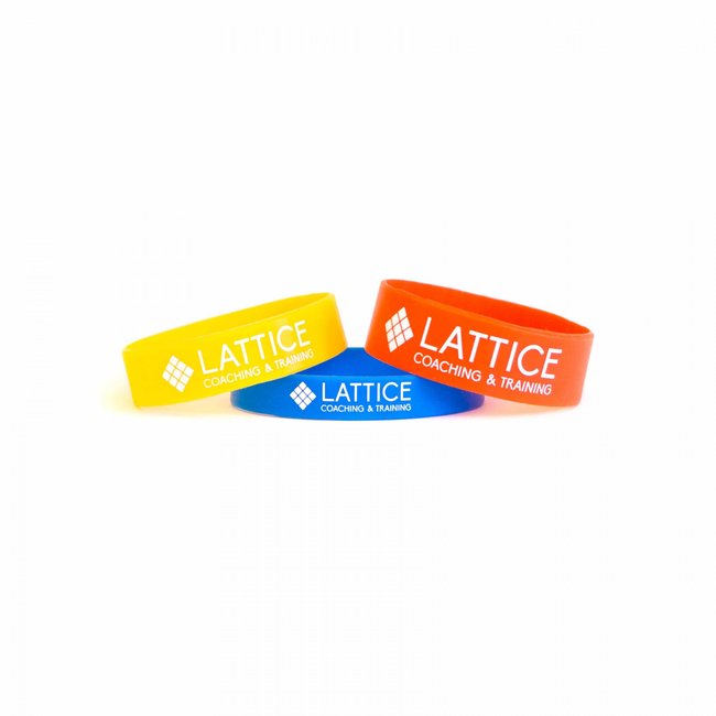 Lattice Training & Coaching Extensor Bands