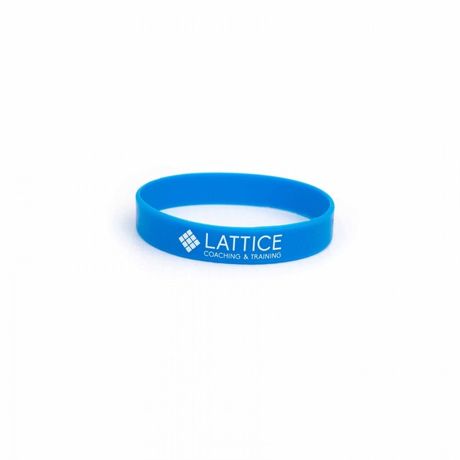Lattice Training & Coaching Extensor Bands