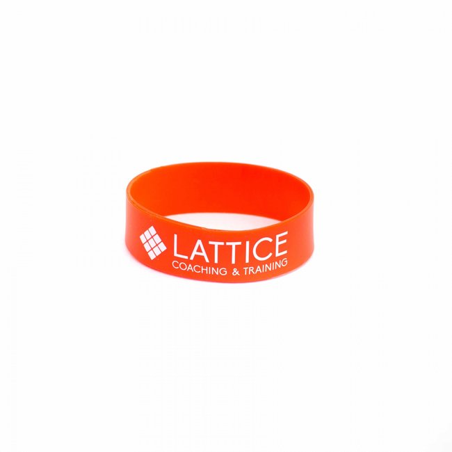 Lattice Training & Coaching Extensor Bands